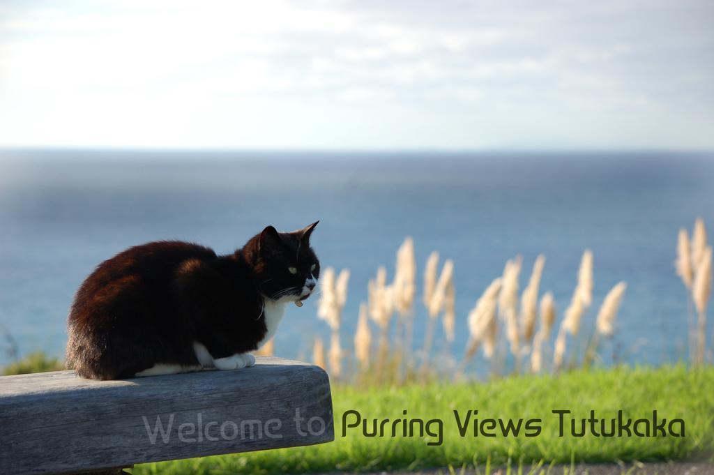 Hotel Ocean Purring Views Tutukaka Exteriér fotografie